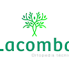 Si estás en València (Valencia), Ortopedia Lacomba Valencia es una referencia para los usuarios que necesitan sillas de ruedas de calidad. Ofrecen modelos manuales y eléctricos adaptados a diversas necesidades de desplazamiento. información sobre las sillas de ruedas Ortopedia Lacomba Valencia